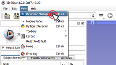 Slicer View Menu